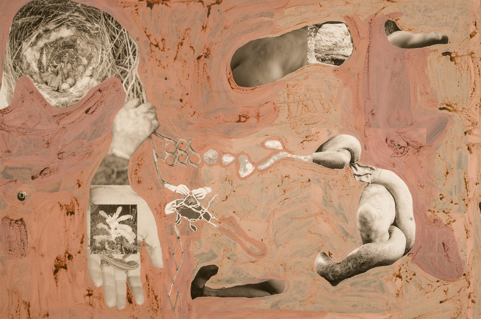 圖十二、《地勢 (關(guān)于時間，關(guān)于身體)》 (細節(jié)圖)，O?zlem Alt?n，2019