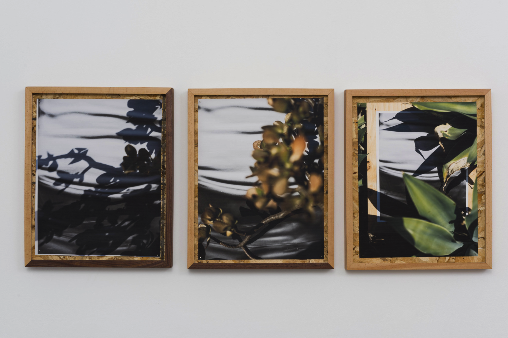 圖四、從左至右《庫卡蒙格牧場 34.1064° N, 117.5931° W. 》2018《回聲公園 34.0782° N, 118.2606° W.》 2018《康普頓 33.8958° N, 118.2201° W. 2018》David Alekhuogie